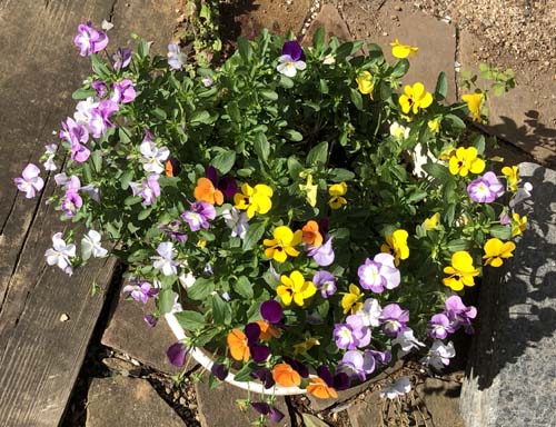 福原佐智 ジュエリー